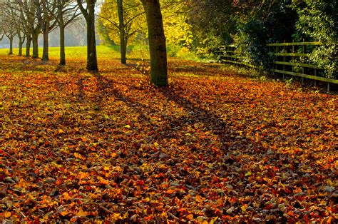 15,700 best beautiful landscape ✅ free stock photos download for commercial use in hd high resolution jpg images format. Autumn Landscape Free Stock Photo - Public Domain Pictures