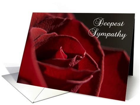 Deepest Sympathy Red Rose Flower Card 336527