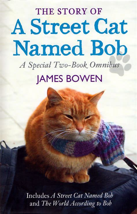 How one man and his cat found hope on the streets: A street cat named bob signed book donkeytime.org