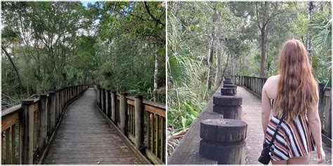 Florida Hiking Trail Near Tampa Is A Hidden Jungle Oasis Narcity