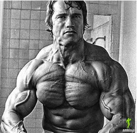 40 Unbreakable Arnold Schwarzenegger Bodybuilding Pictures