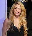 Amazon.com: Shakira Singer Songwriter Rare 12x18 inch Rolled Poster ...