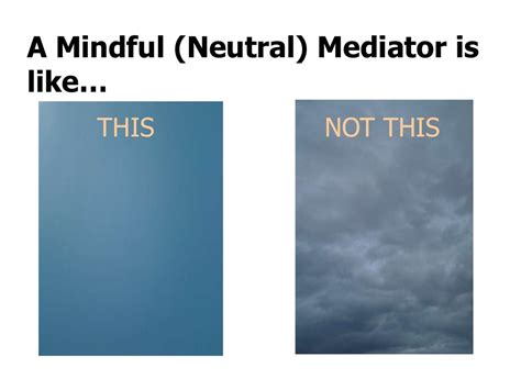 The Mindful Mediator How To Stay Neutral In Conflict Resolution