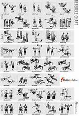 Weight Training Exercises Names Images