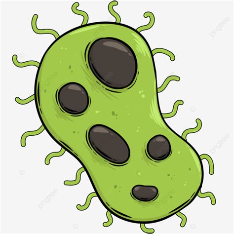 Bacterial Illustrations Vector Png Vector Psd And Clipart With