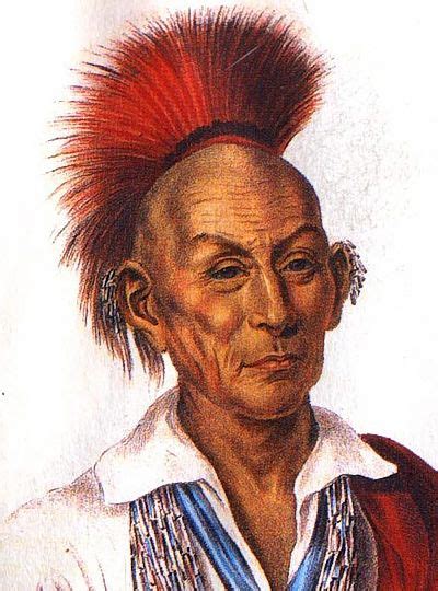 Black Hawk Was A War Chief And Leader Of The Sauk Tribe In The Midwest