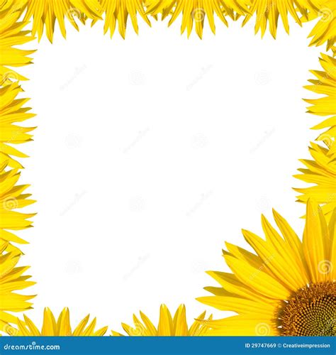 Sunflower Border Design Royalty Free Stock Images Image 29747669