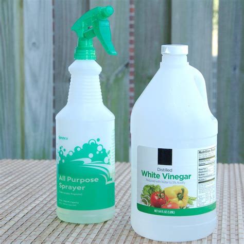 Is White Vinegar A Good Bug Repellent Homemade Bug