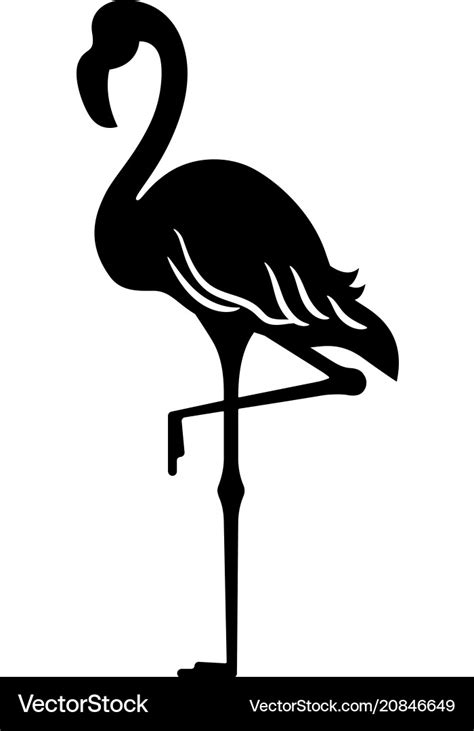 Flamingo Royalty Free Vector Image Vectorstock