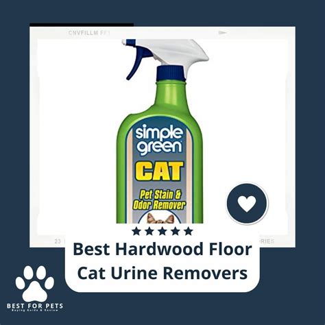 The 15 Best Hardwood Floor Cat Urine Removers Of 2023