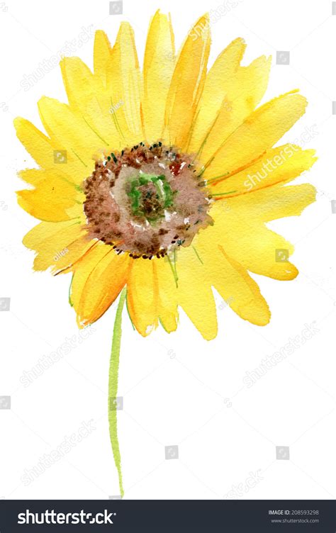 Watercolor Background Sunflower Stock Illustration 208593298