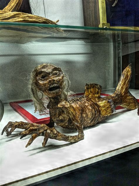 Feejee Mermaid Creepy Images Real Mermaids Mermaid Art