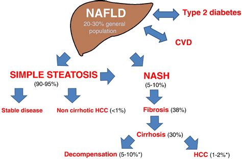 The Multiple Hit Pathogenesis Of Non Alcoholic Fatty Liver Disease