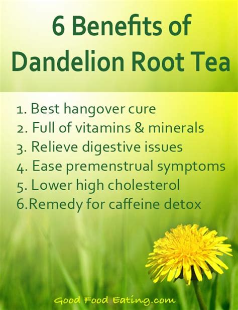Dandelion Root Benefits Applications And Side Effects