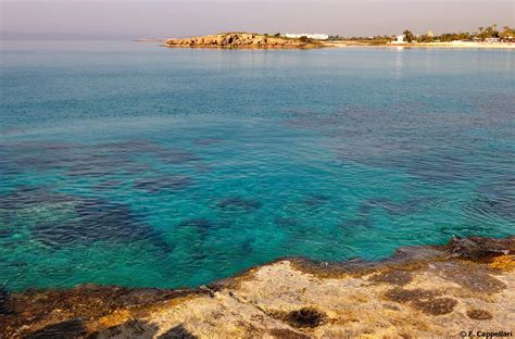 Cyprus Agia Napa Nissi Beach Nissi Beach Resort Beach