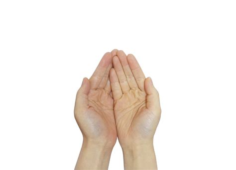 Praying Hands Png Transparent Image Download Size 3456x2500px