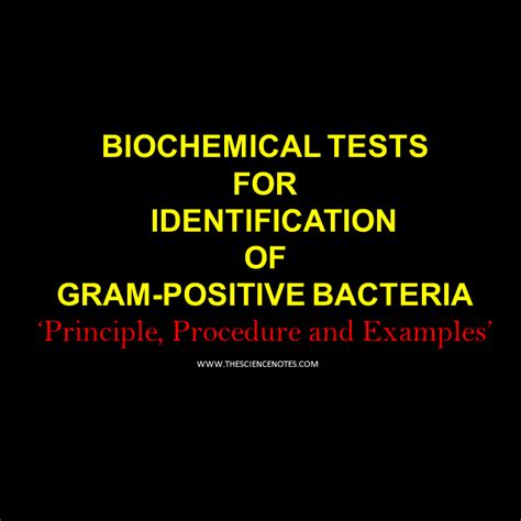 Biochemical Tests For Gram Positive Bacteria