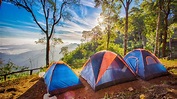 6 awesome campsites within about an hour of Los Angeles - Curbed LA