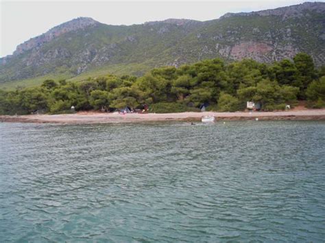 Check spelling or type a new query. Ελευθερο στην βορεια ευβοια (Αγιωργη Λιχαδος - Λιχαδονησια ...