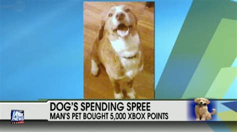 Dog Buys 5000 Ms Points No Really Update