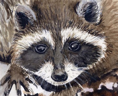 Raccoon Watercolor Painting Raccoons Art Animal Wall Art Etsy