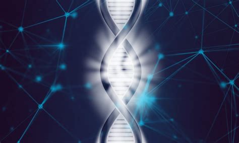 Significado De Genoma Humano Qué Es Definición Y Concepto