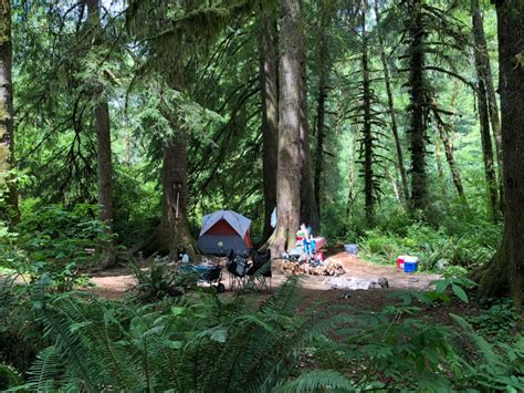 14 Spots For Free Camping In Oregon And How To Find More Camping Area