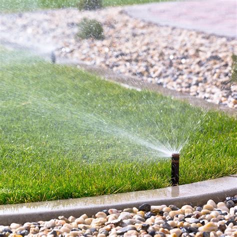 Summer Lawn Watering Tips Cardinal Lawns