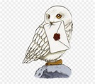 Harry Potter Owl Drawing , Transparent Cartoons - Harry Potter Hedwig ...