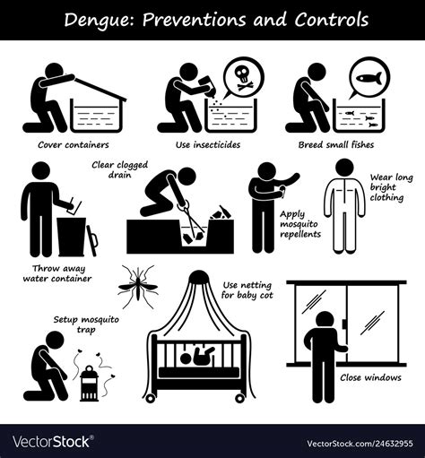 Dengue Fever Preventions And Controls Aedes Vector Image