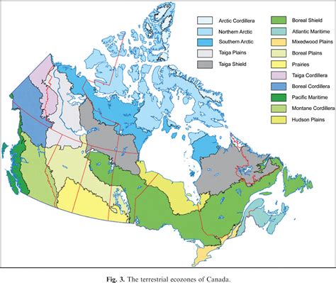 Brunisolic Soils Of Canada Genesis Distribution And Classification