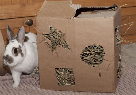 Diy Rabbit Toys Out Of Cardboard Real Diy Life