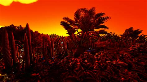 Jungle Sunset Wallpapers 4k Hd Jungle Sunset Backgrounds On Wallpaperbat