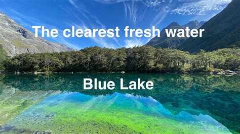 Blue Lake The Clearest Fresh Water In The World Nelson Lakes National Park New Zealand YouTube