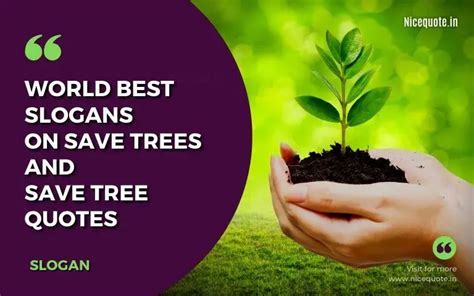 80 Best Slogans On Save Trees And Save Tree Quotes February 2024