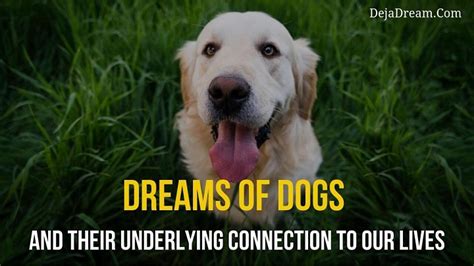 New users enjoy 60% off. Dreams Of Dogs And Their Underlying Connection To Our Lives - DejaDream