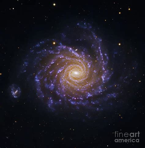 Spiral Galaxy Ngc 1232 Optical Image Photograph By Robert Gendler