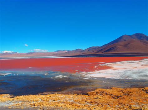 Laguna Colorada Wallpapers Wallpaper Cave