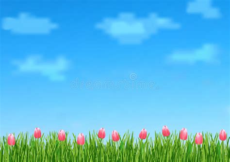 Background With With Blue Sky Clouds Green Grass End Pink Flowers