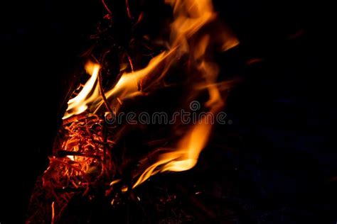 Shiny Burning Fire In The Dark Shows The Romantic Side Of A Campfire Or
