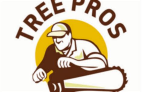 Compare decatur crime data to other cities, states. Decatur Tree Pros (decaturtreepros) | Pearltrees
