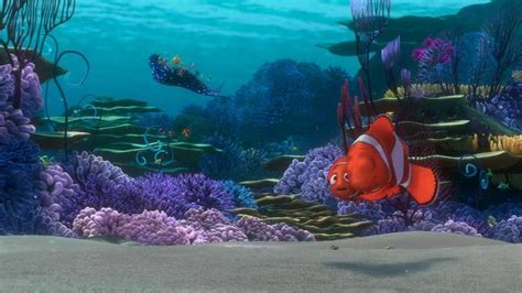 Finding Nemo Finding Nemo Image 3570035 Fanpop