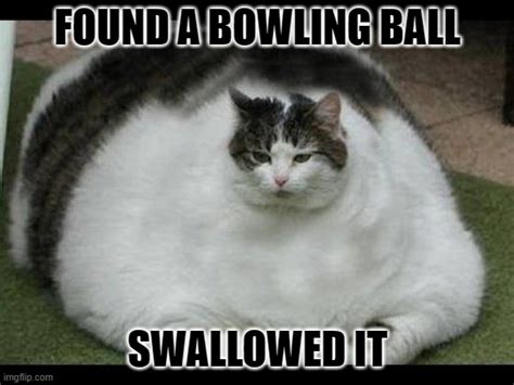 Bowling Bal Imgflip