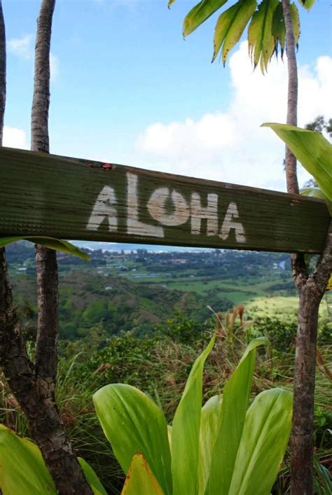 7 Amazing Places In Oahu Hawaii To Make You Forget Traveling Abroad For