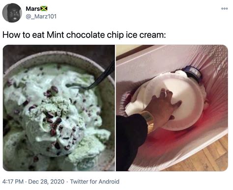 How To Eat Mint Chocolate Chip Ice Cream How To Eat Know Your Meme
