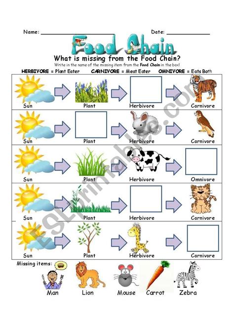 Food Chain Worksheet Pdf Educational Worksheet