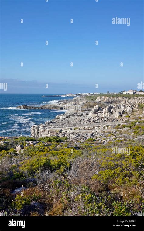 Coastal Town Of Hermanus Along Walker Bay With The New Harbour On The