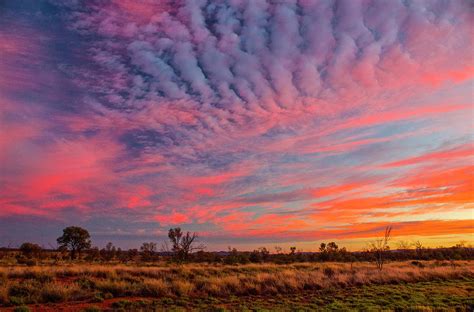 Outback Sunrise Australia Photograph By Venetia Featherstone Witty