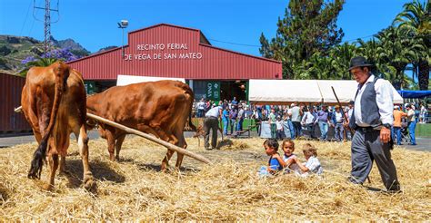 Fiesta Del Agricultor