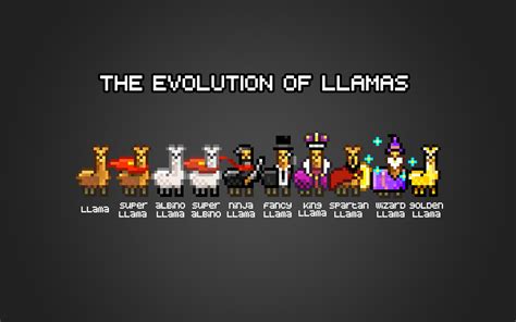 The Evolution Of Llamas By Mcaddicted On Deviantart